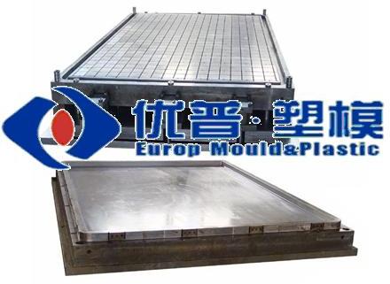 Tray Mould