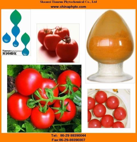 Tomato Extracts, Lycopene, Brand Name : T&R