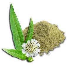 Bhringraj Powder ( False Daisy / Eclipta Alba )