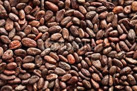 Cocoa beans, Material : Cocoa Beans