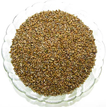 Organic Cassia Tora Seeds, For Cosmetic, Medicine, Packaging Size : 1kg, 25kg, 5kg