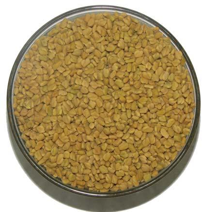 Organic Fenugreek Seeds, Certification : FDA Certified