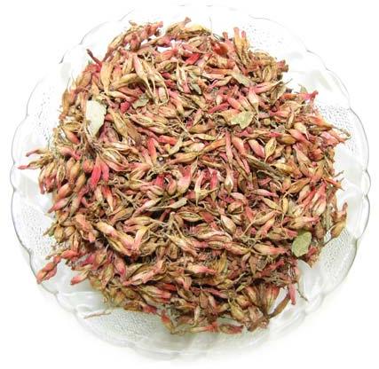 Woodfordia Fruticosa, Purity : 100%