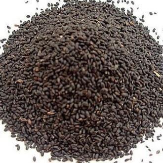 Ocimum Basilicum (Tukmaria Seeds)