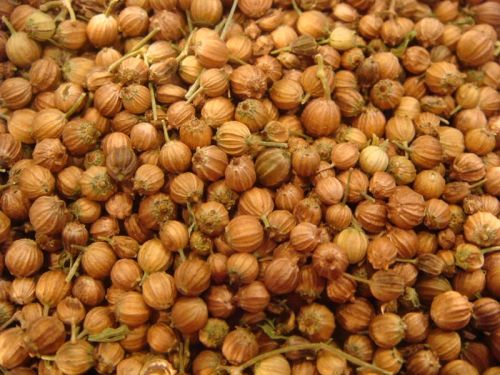 Coriander Seeds