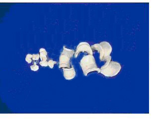 Ceramic ARC Saddle Ring, Brand Name : DFGS