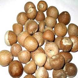 Round Areca Nuts, For Serving Food, Pattern : Plain