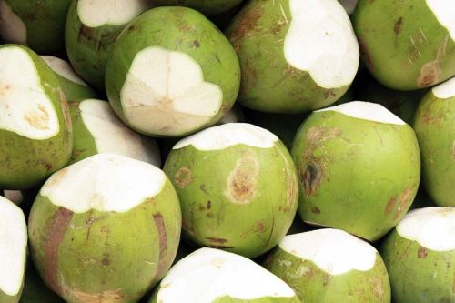 Soft Organic Tender Coconut, For Cosmetics, Medicines, Pooja, Form : Solid