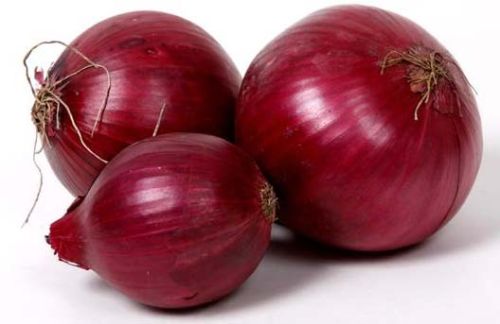 Fresh Red Onion, Shelf Life : 15days