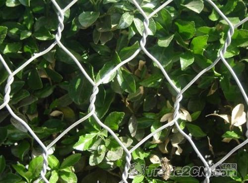 Xiyue Quality Hexagonal Wire Mesh