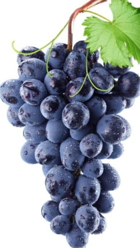 Grape Seed, Specialities : Red brown powder
