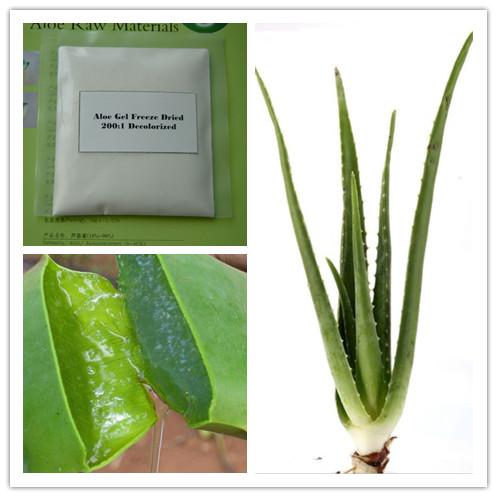 Aloe Vera Extract, Brand Name : AYHHED