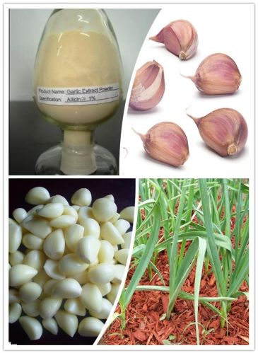 Garlic Extract