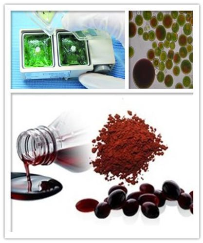 Haematococcus Pluvialis Extract Astaxanthin, Brand Name : AYHHED