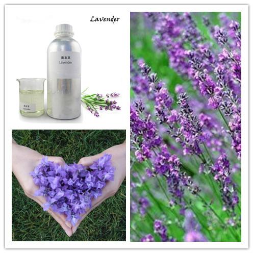 Lavender Essential Oil, Brand Name : AYHHED, Supply Type : OEM/ODM