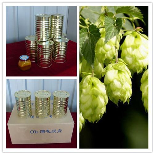 Liquid Supercritical Co2 Hops Extract, Brand Name : AYHHED