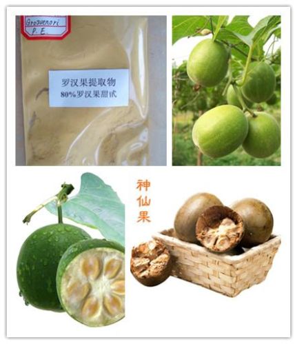 Luo Han Guo Extract, Brand Name : AYHHED