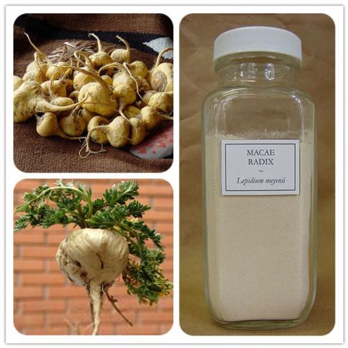 Maca Extract Powder, Brand Name : AYHHED