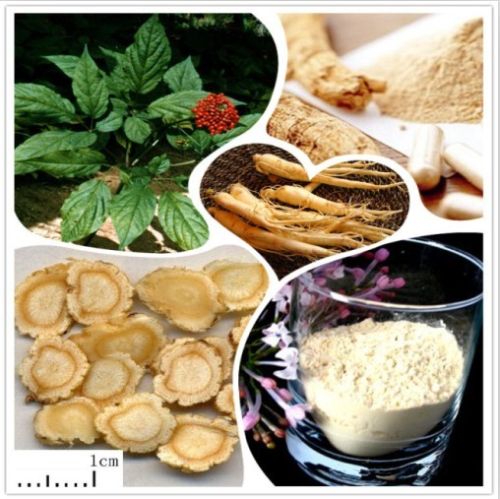 Panax Ginseng Extract