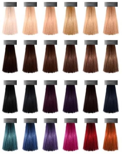 Shivesh Henna 100% Herbal Hair Colors