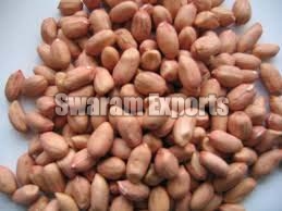 Groundnut Kernels