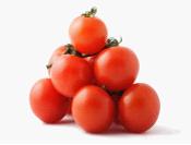 Tomato P.e., 5~98% Lycopene