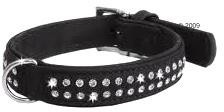 Kiefer Dog Collars