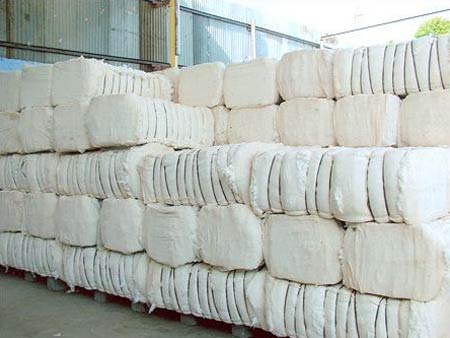 Cotton Bales, For Filling Material, Yarn Making, Purity : 99% Purity