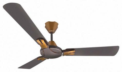 Designer Ceiling Fans