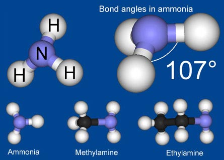 Industrial Amines