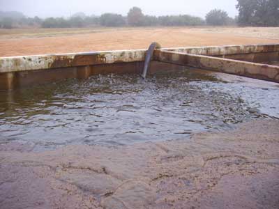 Bonny Light Crude Oil