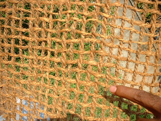 Coconut Coir Net