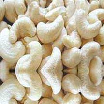 Cashew nuts for Snacking