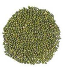 Moong Beans