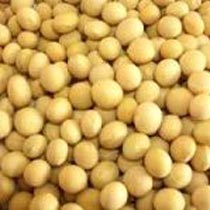 Soybeans