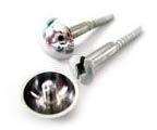 Polished Stainless Steel Mirror Screw