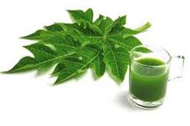 Papaya Leaf Juice