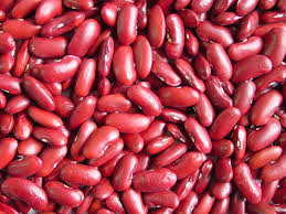 Oval Common Red Kidney Beans, For Cooking, Feature : Best Quality