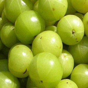 Amla Fruit