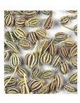 Carom Seeds, Usage : Food And Medicine