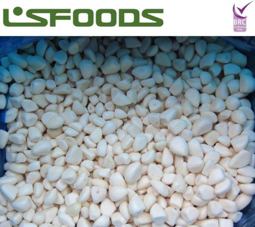 Frozen garlic, Packaging Type : white