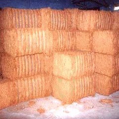 Coir Fiber Bales