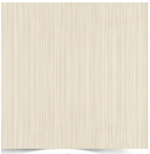 EXPO INTERNATIONAL Vitrified Tiles