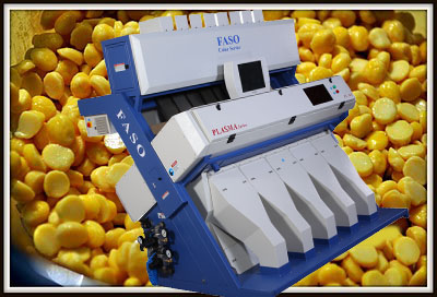 Dal Sorting Machine