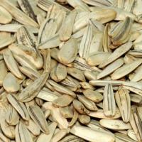 White Sunflower Seeds, Packaging Type : Yellow