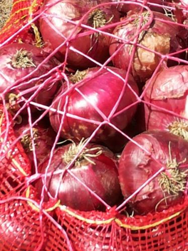 Fresh red onion, Shape : Round