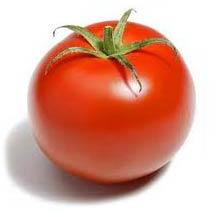 Fresh tomato, Origin : Organic Farm