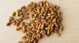 Fenugreek Seeds (methi)