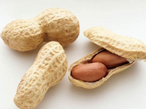 Common Shelled Peanuts, For Making Flour, Making Oil, Making Snacks, Packaging Type : Gunny Bag, Jute Bag