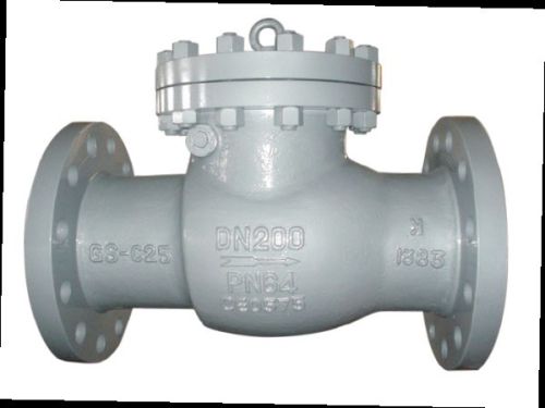 Din Swing Check Valve